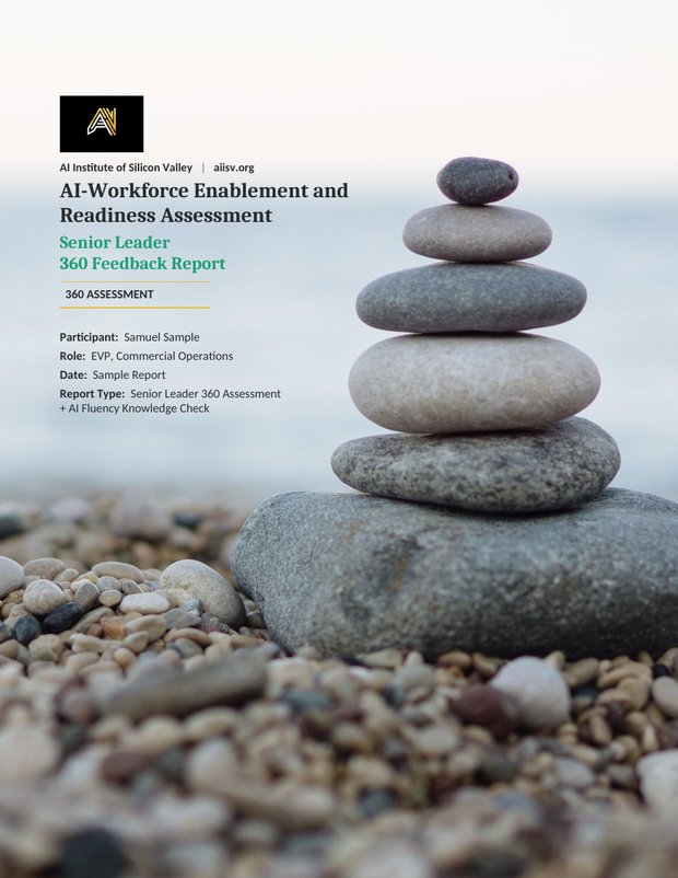 Senior Leader 360 sample report cover